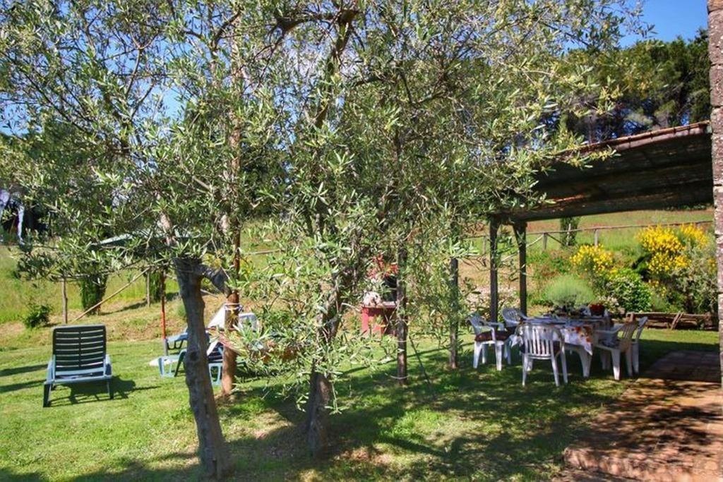 Radicondoli Agriturismo Bellavista מראה חיצוני תמונה